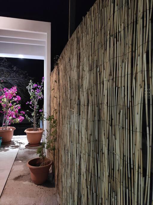Casa Mango 3 Amplio Departamento Villa Río Verde Dış mekan fotoğraf
