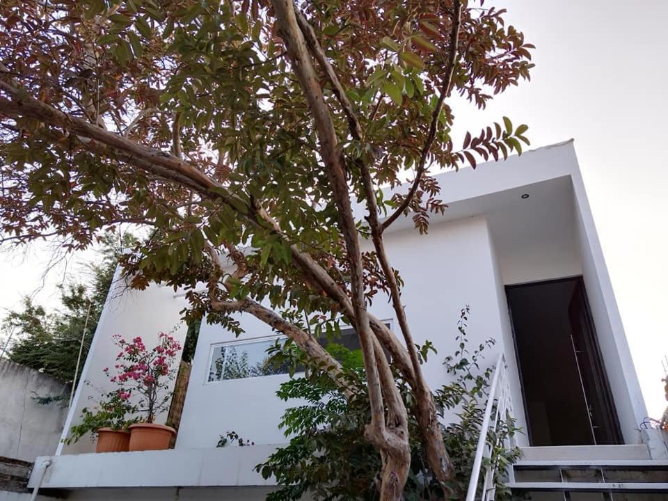 Casa Mango 3 Amplio Departamento Villa Río Verde Dış mekan fotoğraf